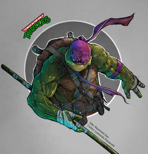 Teenage Mutant Ninja Turtles: Donatello