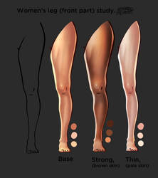 women legs front part color light study