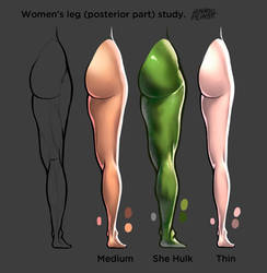 Women s leg posterior part color light study 2