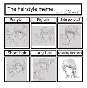 Hiroki hairstyle meme