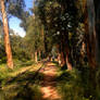 Bike ride and abandoned rails in Cochabamba