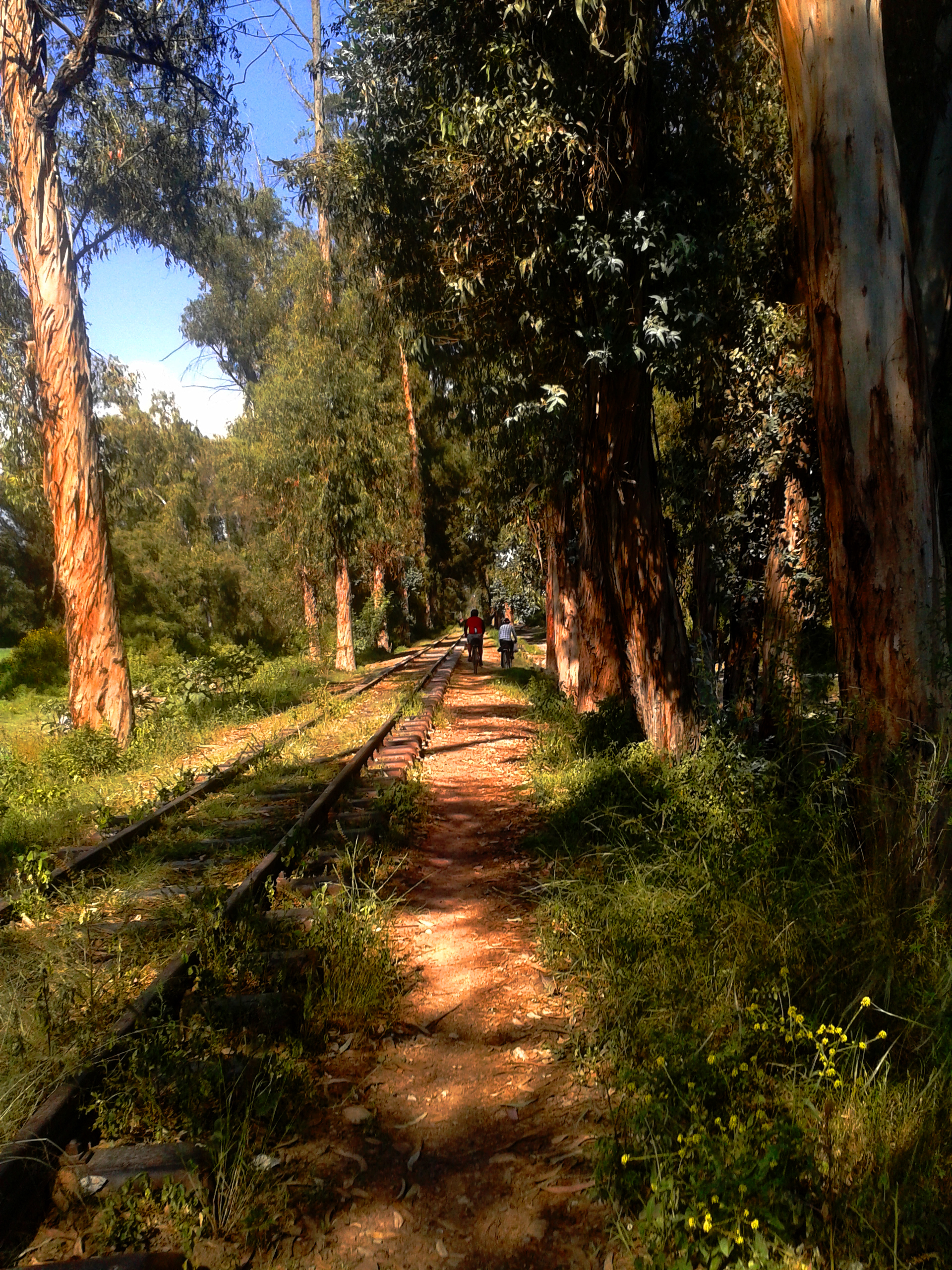 Bike ride and abandoned rails in Cochabamba