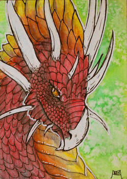 ACEO: Adramus