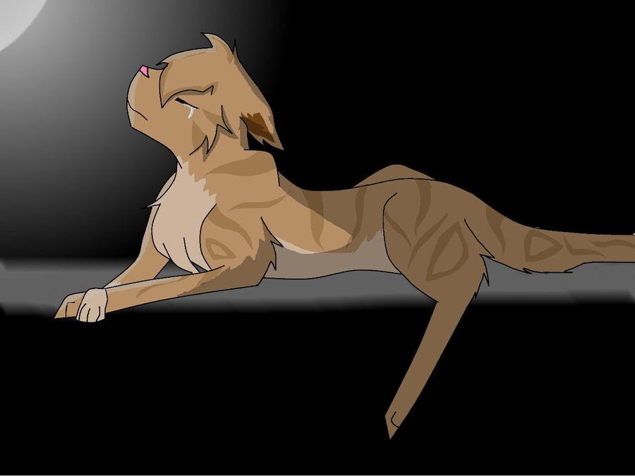 Brambleclaw after the truth