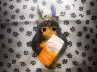 Goldfish for Nitocris