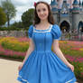 Alice in Disneyland