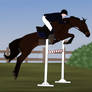 Uppity Up! - Show Jumping Training