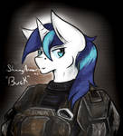 Competion Entry- Shining Armour as 'BUCK' by Chaosmauser