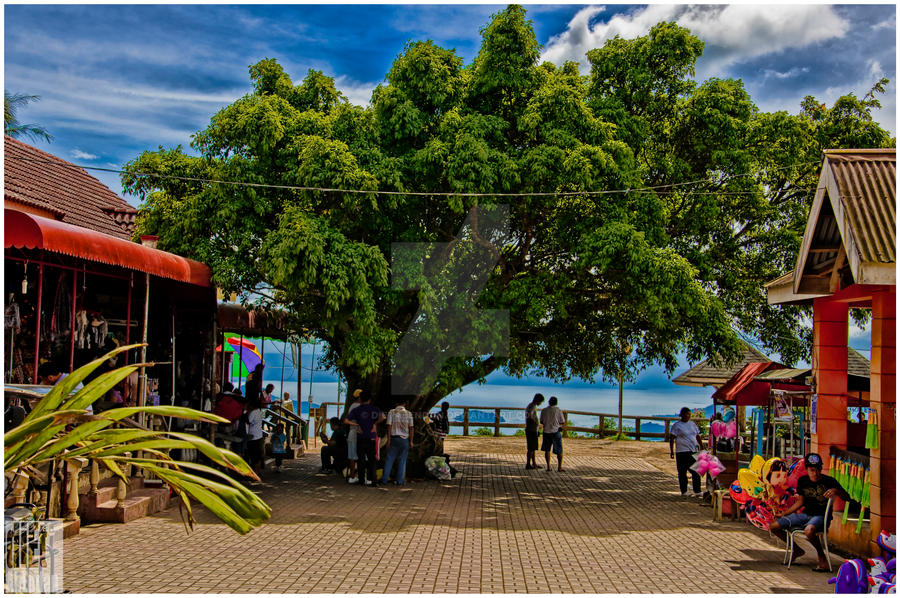 Tagutoy Tree tagaytay tree by dietabendan on DeviantArt