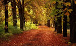 Autum by Sunnystorm
