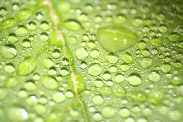 Water drops_stock