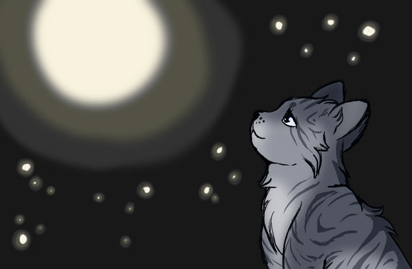 Star-Gazer by NetherMyth on DeviantArt