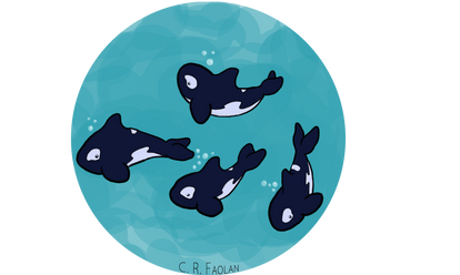 Orcas