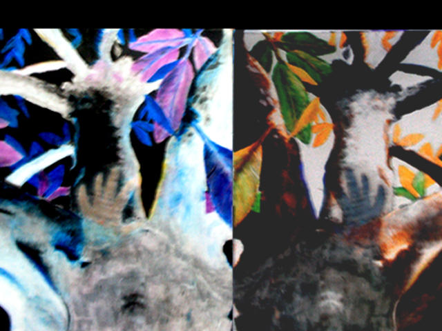 Nature Color Inverted Inverted Nature by odinsayson on DeviantArt