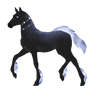 N6527 Padro Foal Design for Solloby