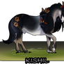 N8752 Kishil