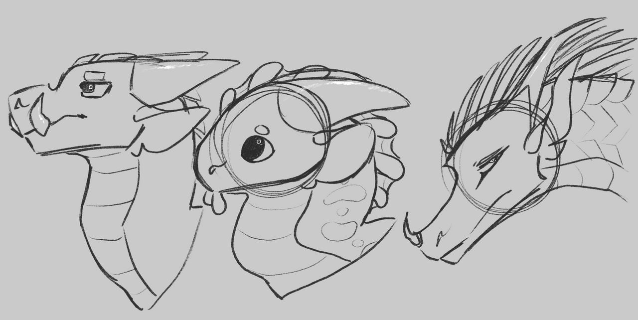 Dragon Face Shape Sketches by FlickerFriend on DeviantArt