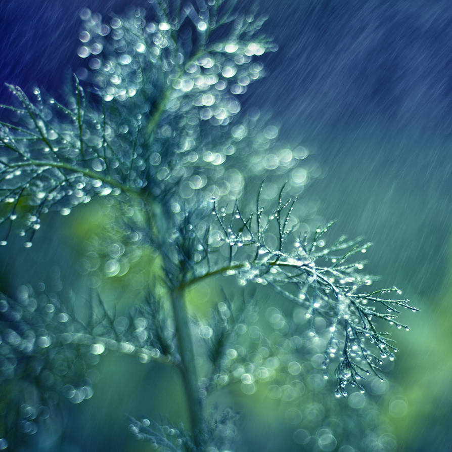 724 by maigashira 724 by maigashira