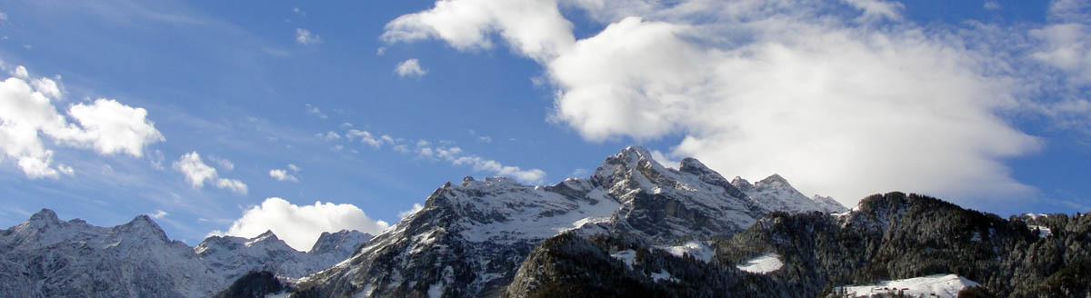 Winter-Panorama