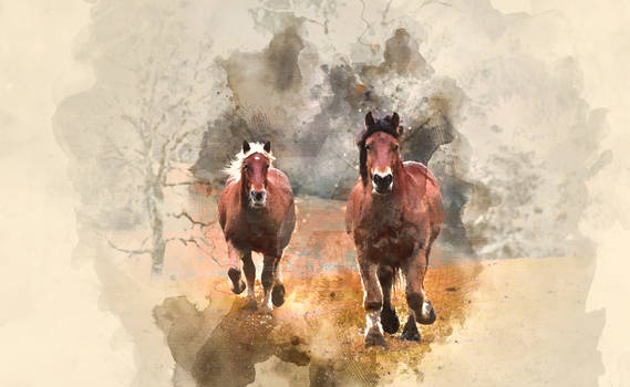 watercolor two brown horses