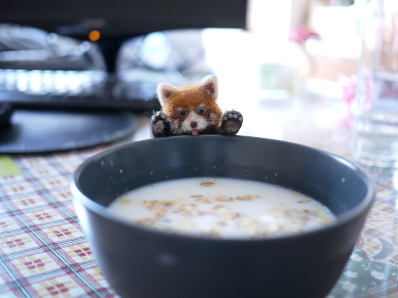 Red Panda