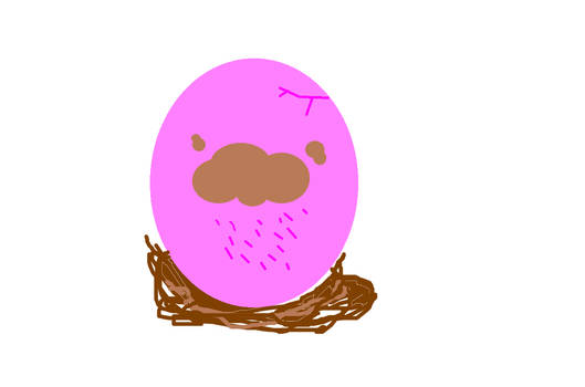 Egg (adopted from Mittyk)