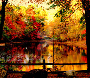 Fall at the Reservoir