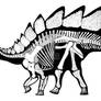 Stegosaurus stenops