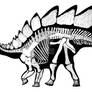 Stegosaurus stenops