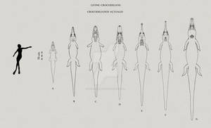 Living Crocodilians size