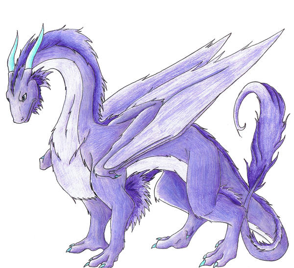 Furred Dragon by iloveeagles on DeviantArt