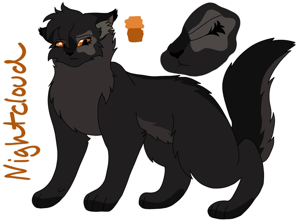 Nightcloud by Cr3ativ3Lilly on DeviantArt