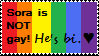 Sora's not gay... he's bi