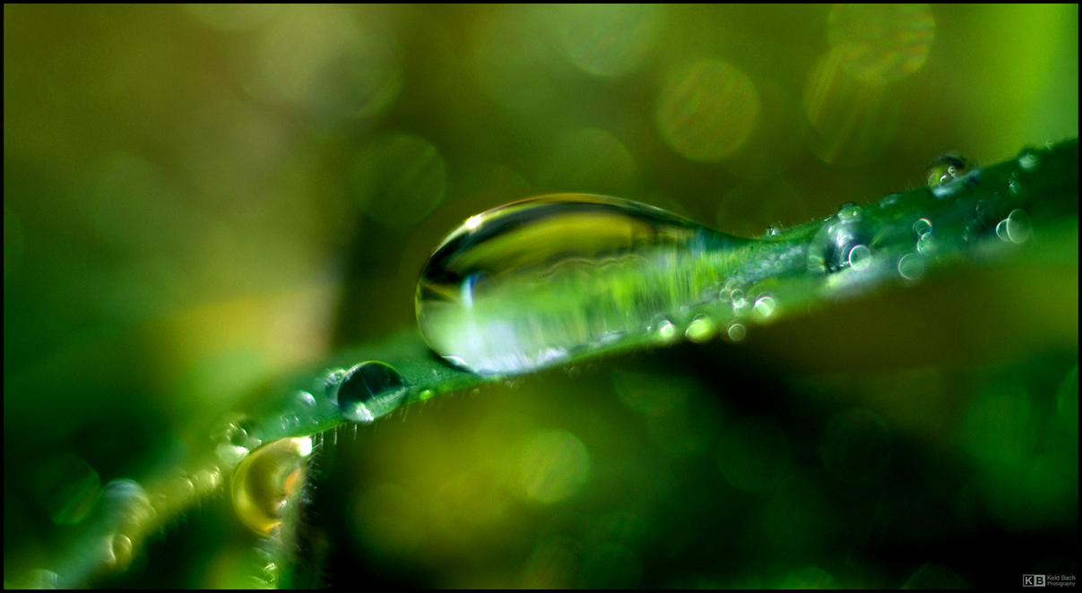 Droplet on a Slippery Slope