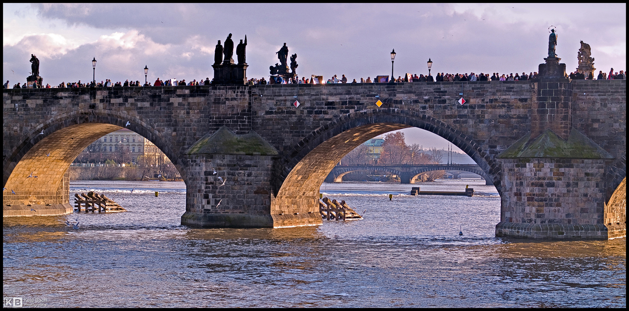 Charles Bridge