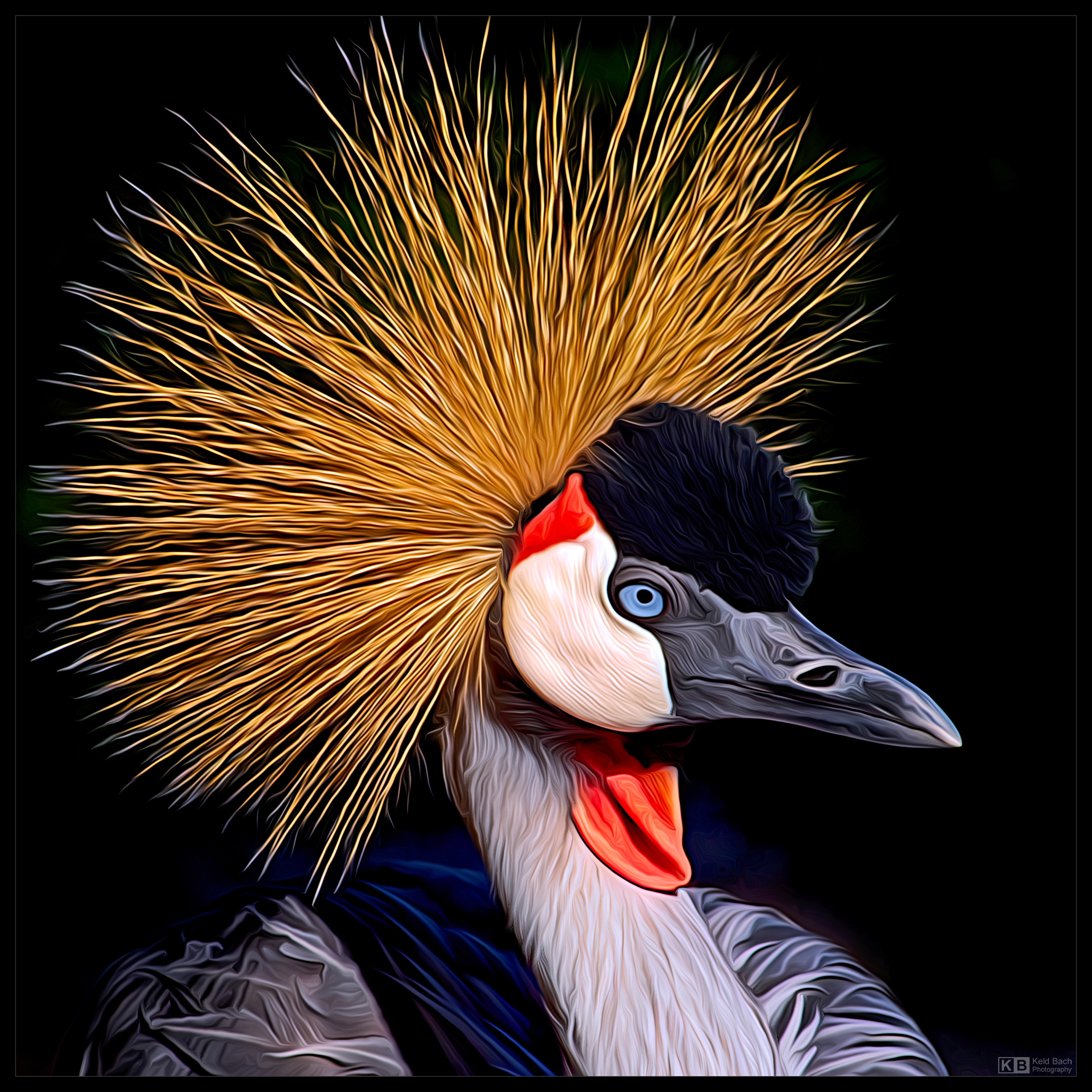 Painterly Crowned Crane