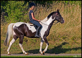 On Horseback