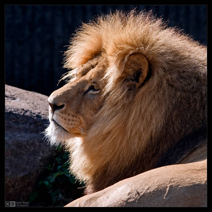 His Majesty by KeldBach
