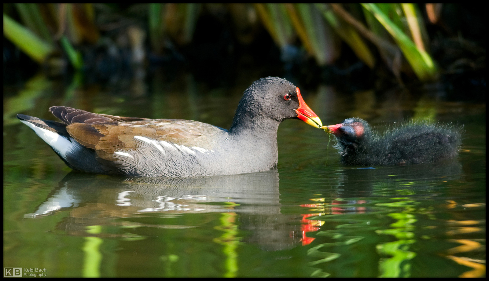 With a Little Help from My Mom