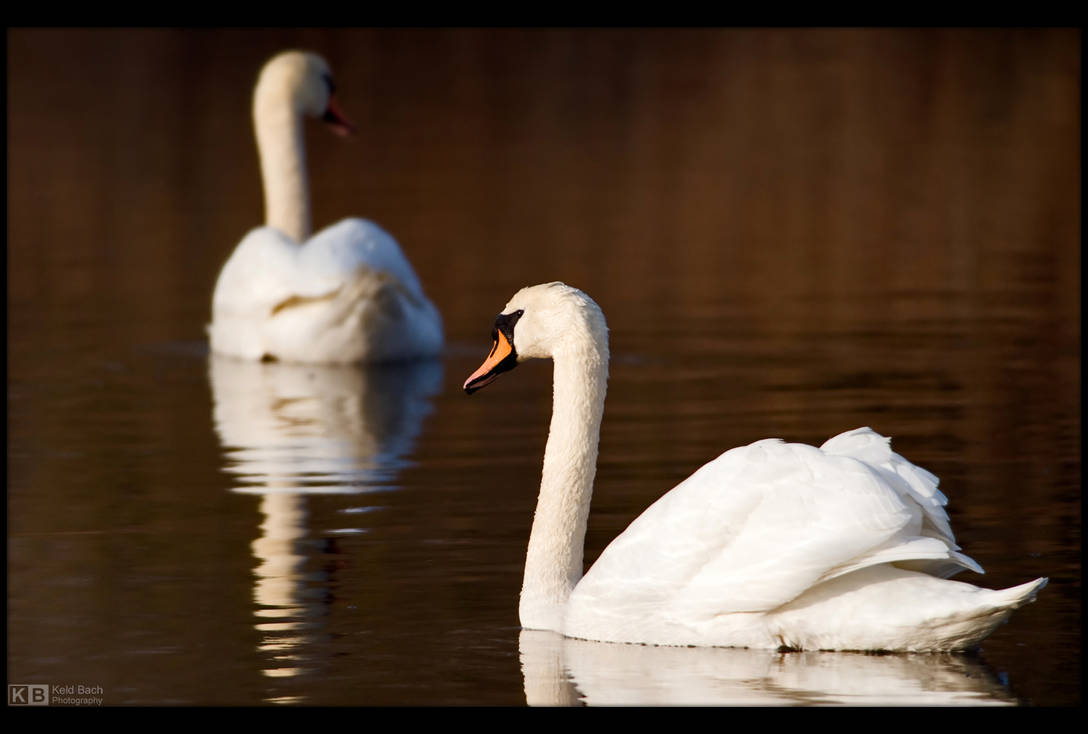 An Upcoming Romance? by KeldBach