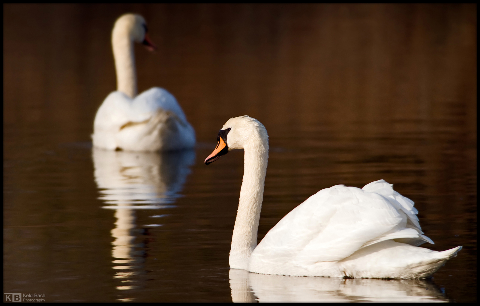 An Upcoming Romance?