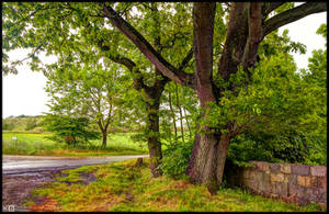 Guarding the Entrance by KeldBach