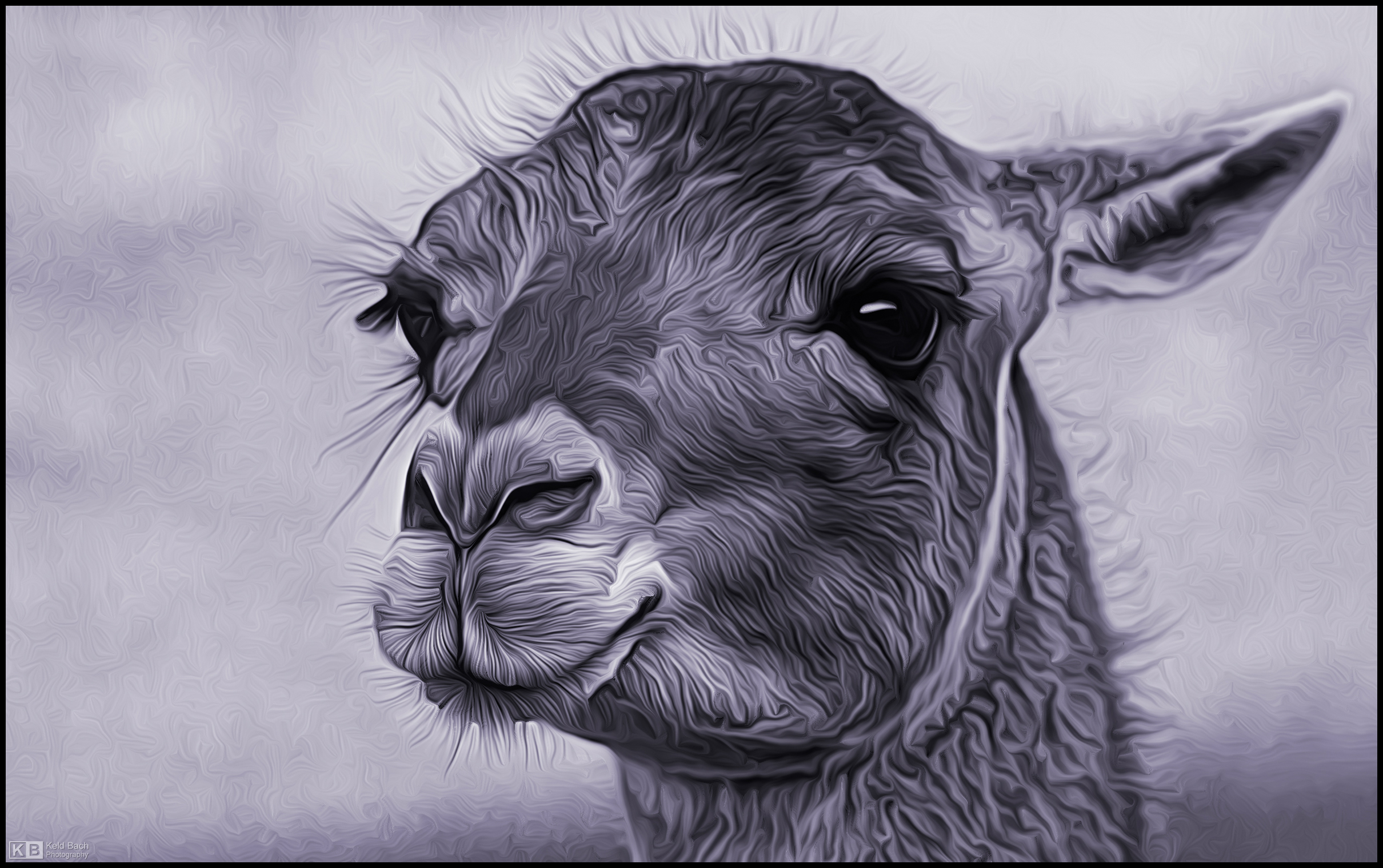 Lovely Llama in Mono