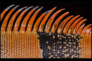 Spiky by KeldBach