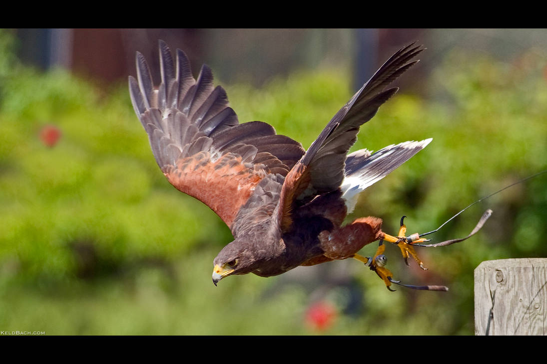 Taking Off by KeldBach