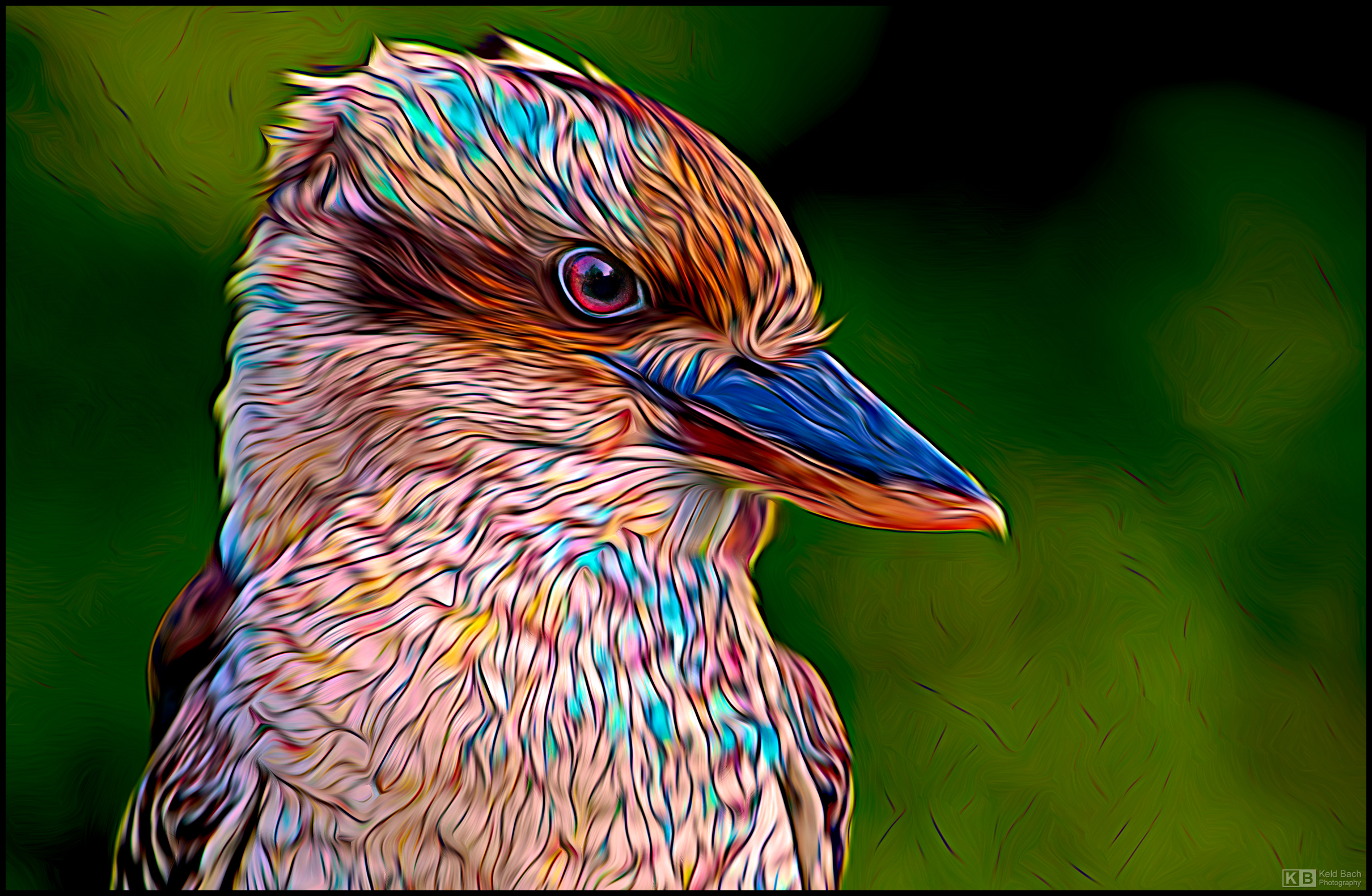 Kookaburra in Stained Glass
