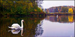 Autumn Mood by the Lagoon