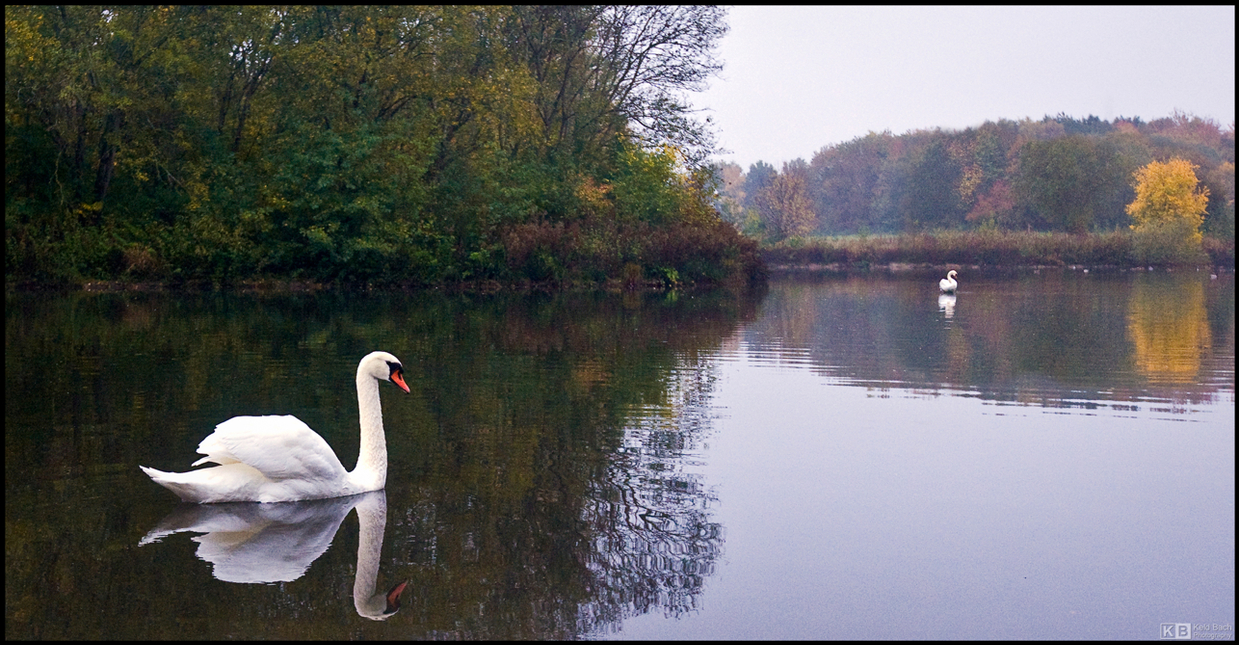 Autumnal Mood at the Lagoon