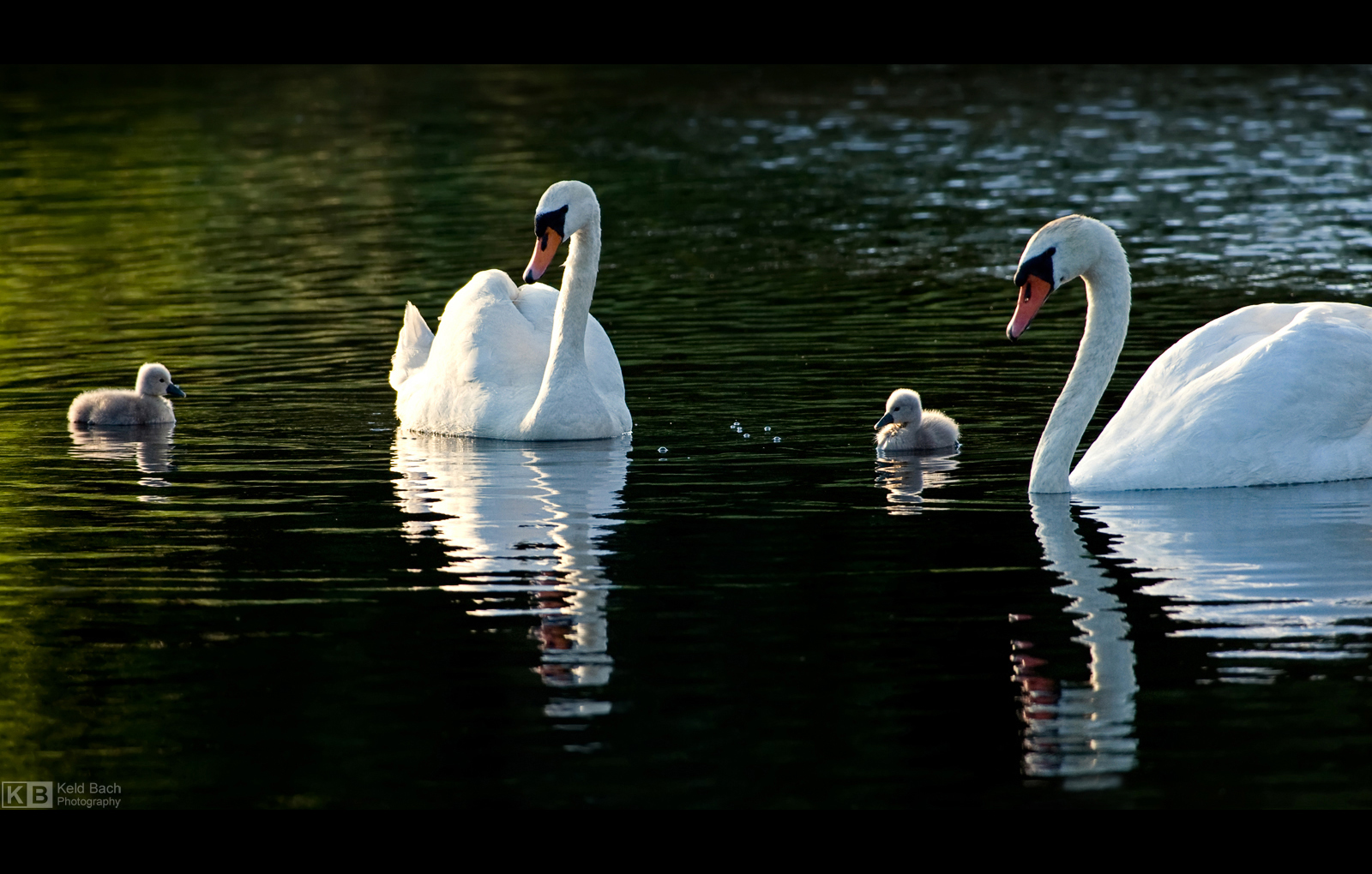 Say Hello to Daddy by KeldBach