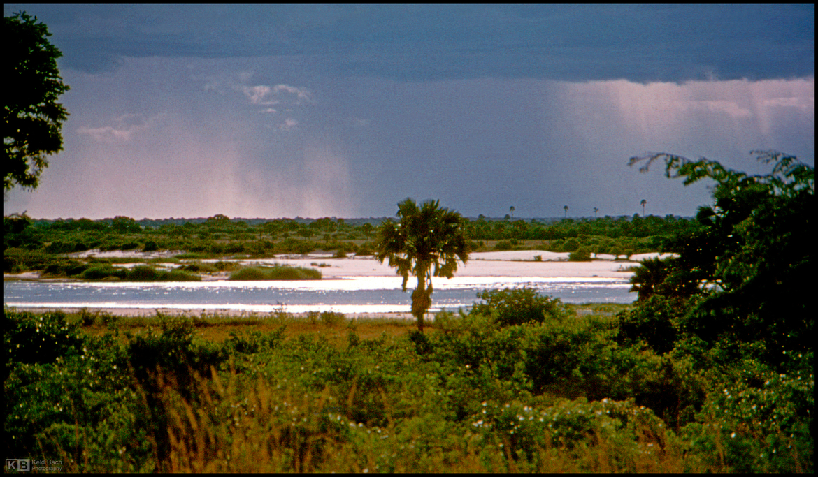 Start of Rainy Season